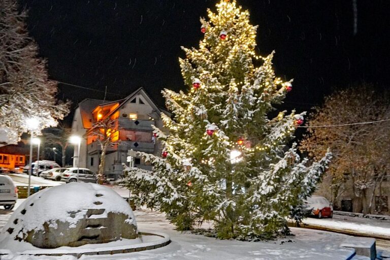 Schnee in Tennenbronn am 3 Advent 5