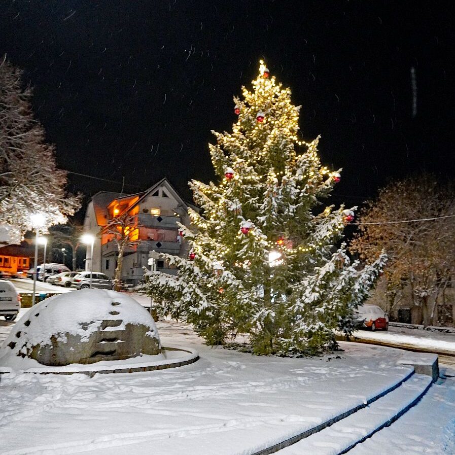 Schnee in Tennenbronn am 3 Advent 5