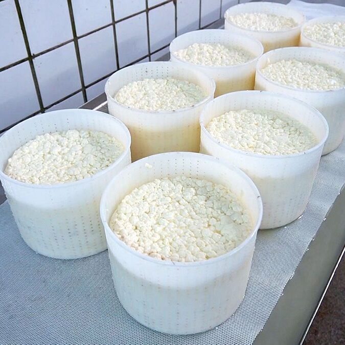 2022 letzte Kaeseproduktion auf dem Mooshof 08