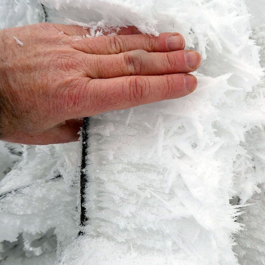 Rauhreif auf den Baeumen in Tennenbronn 26