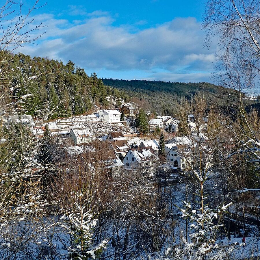 Winter auf dem Berg in Tennenbron 1