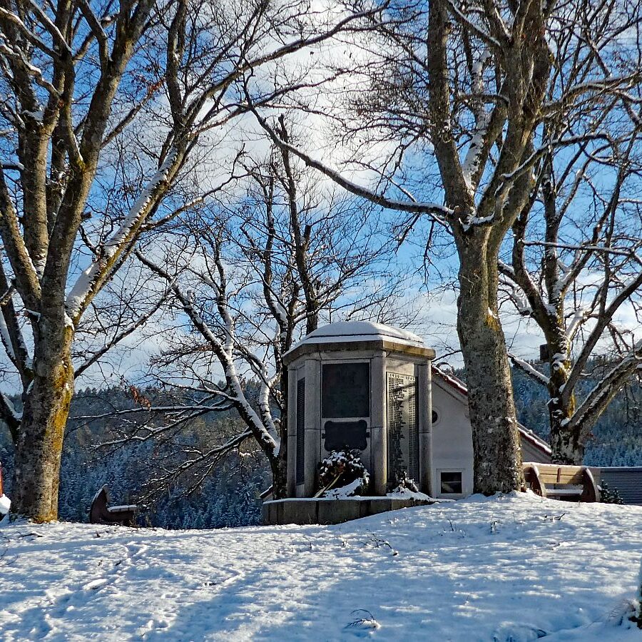 Winter auf dem Berg in Tennenbron 2