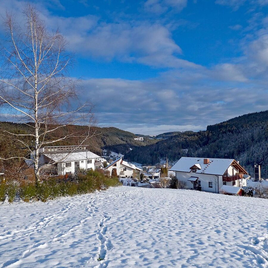 Winter auf dem Berg in Tennenbron 4