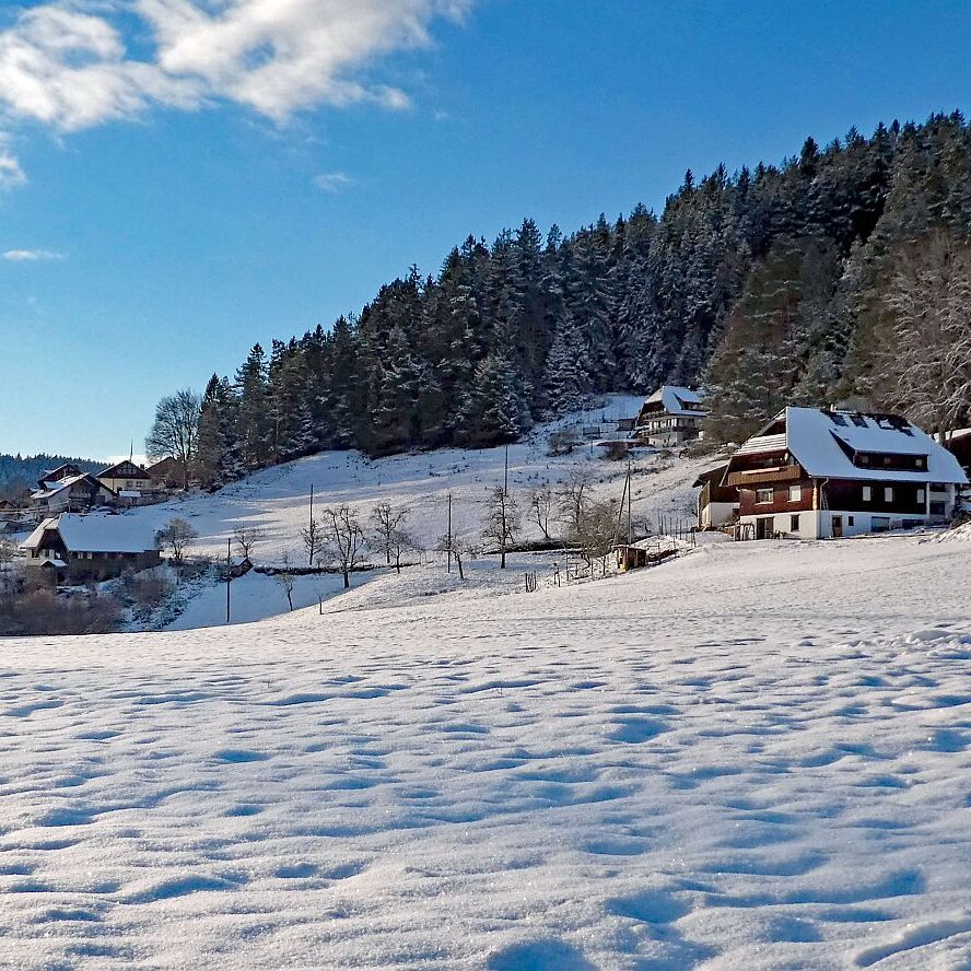 Winter auf dem Berg in Tennenbron 5