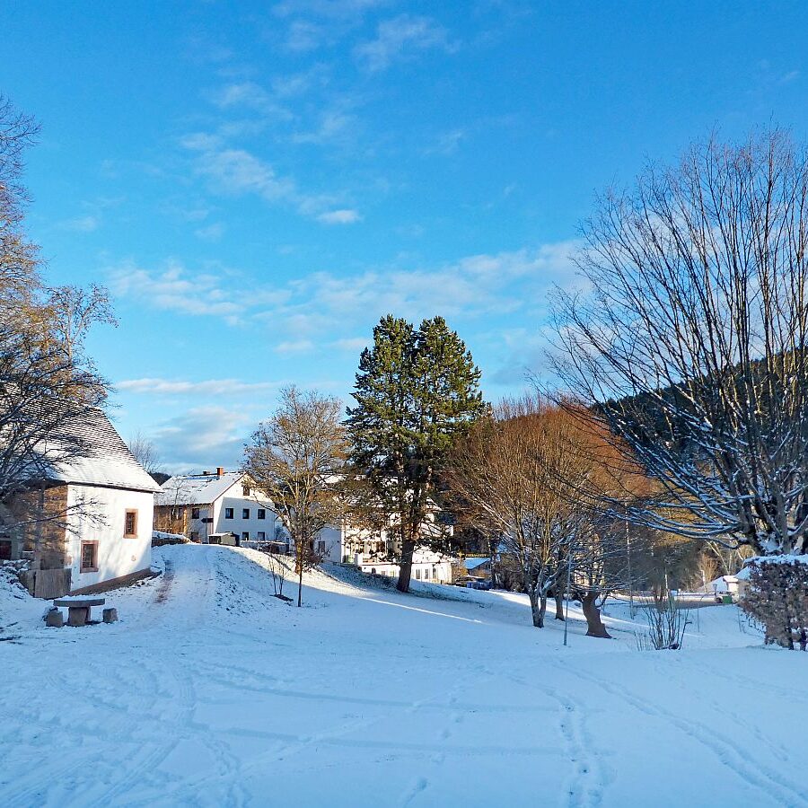 Winter auf dem Berg in Tennenbron 8