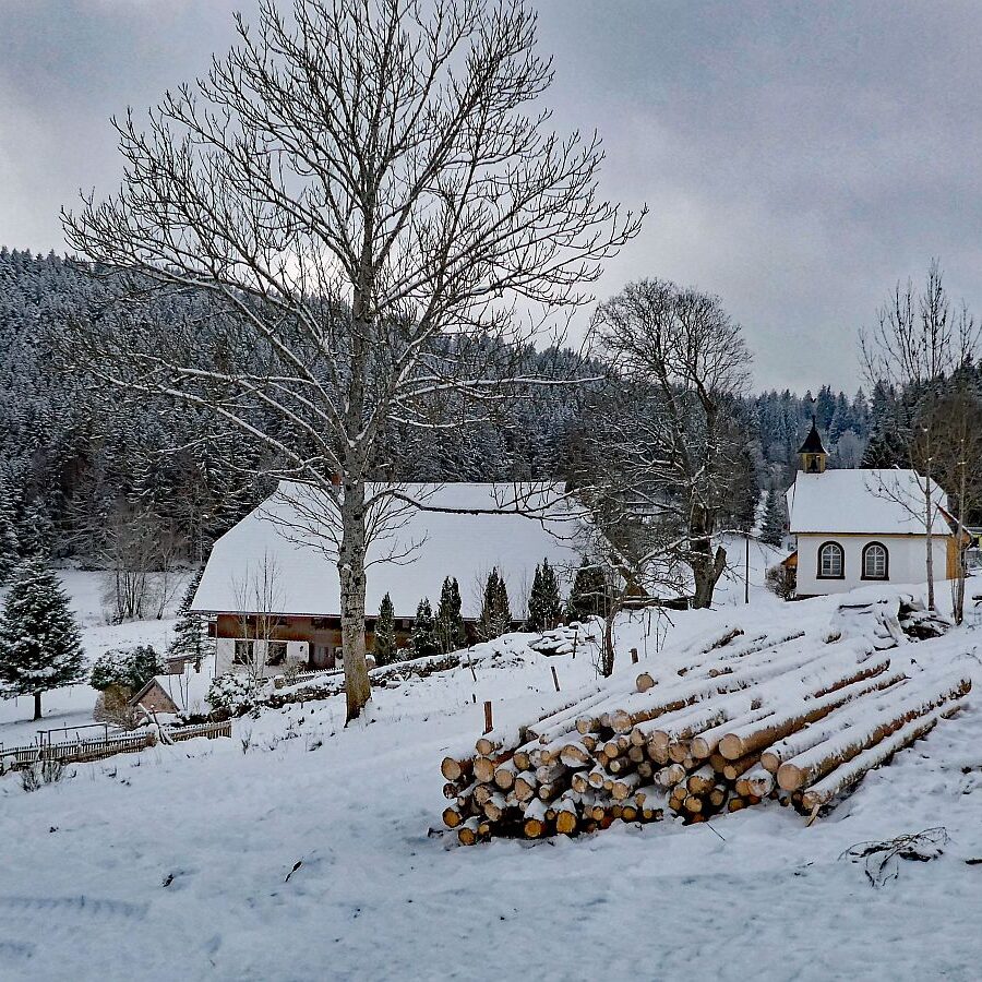 Winter bei bedecktem Wetter 08