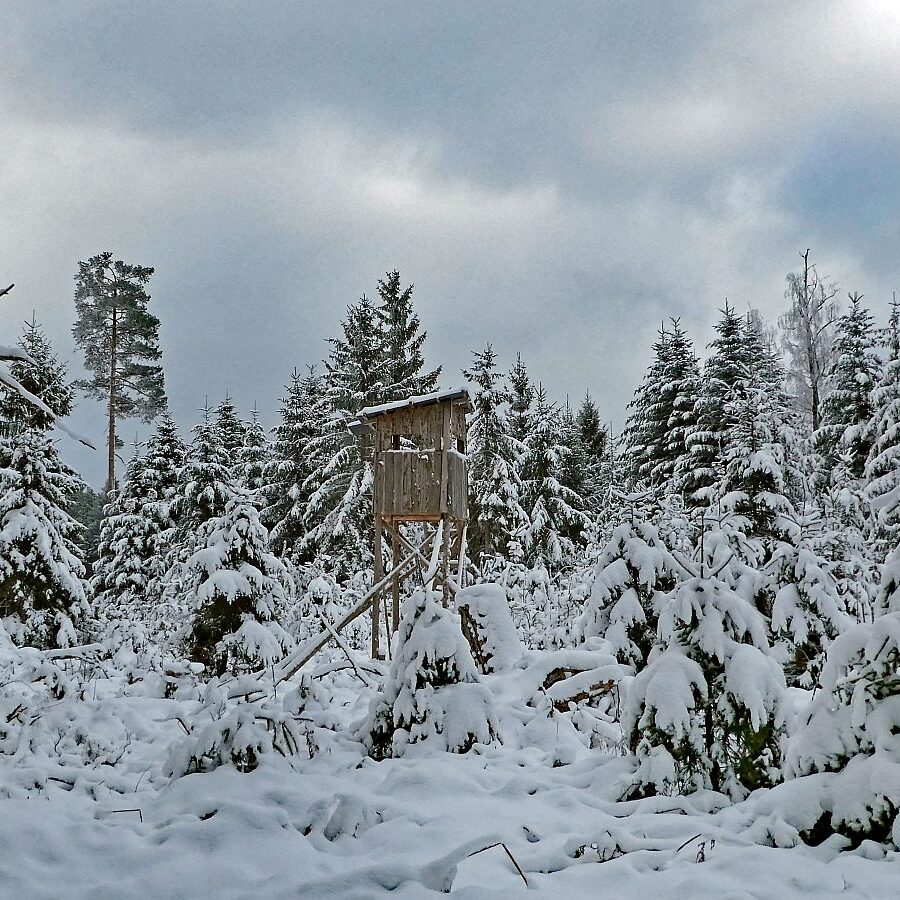 Winter bei bedecktem Wetter 10
