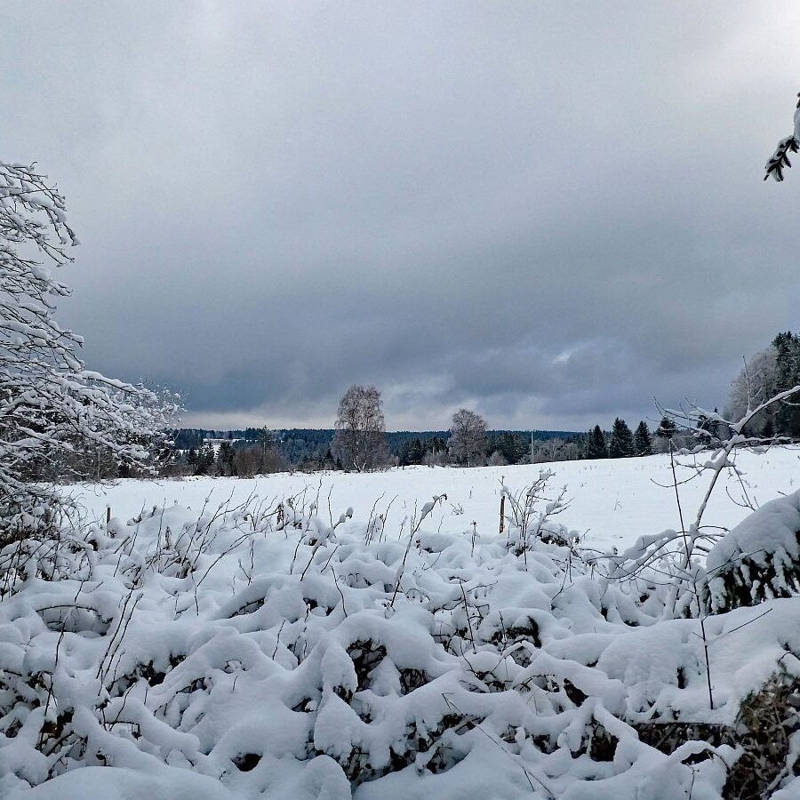 Winter bei bedecktem Wetter 11