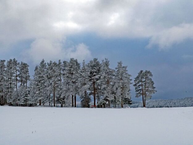 Winter bei bedecktem Wetter 12