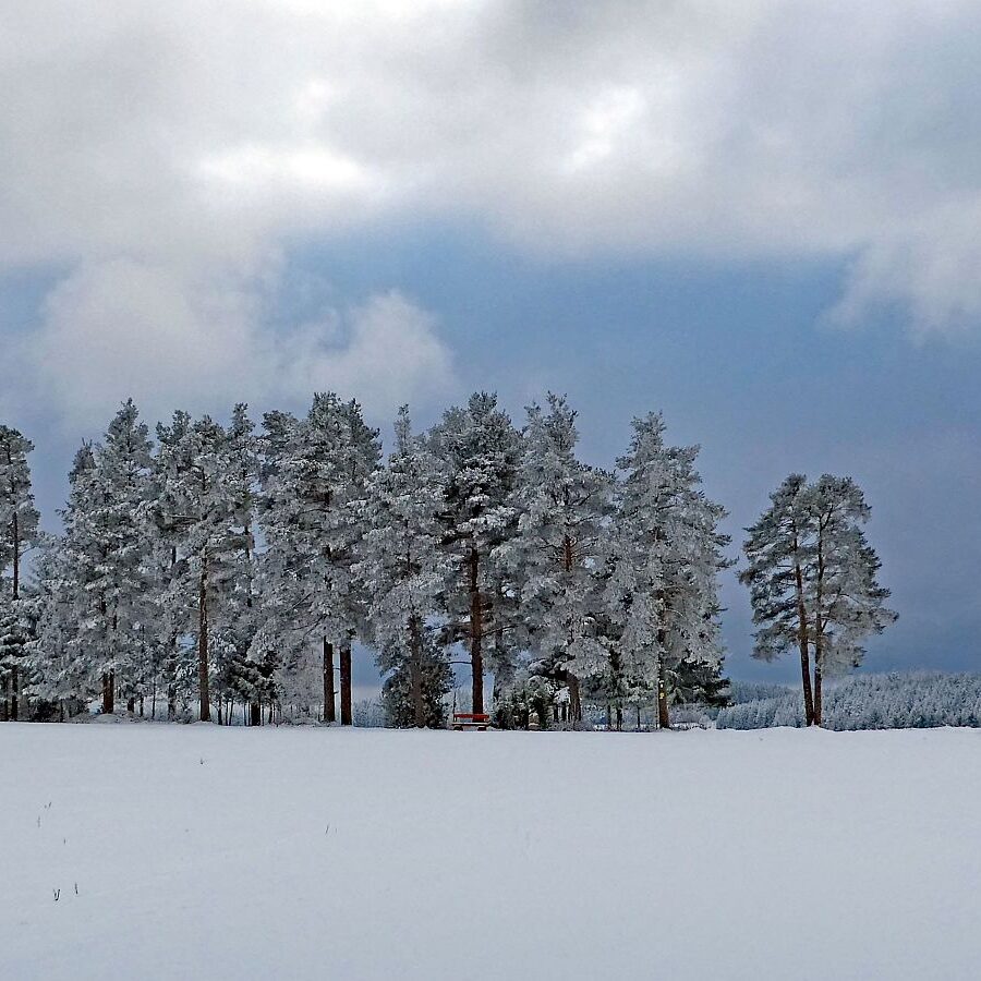 Winter bei bedecktem Wetter 12