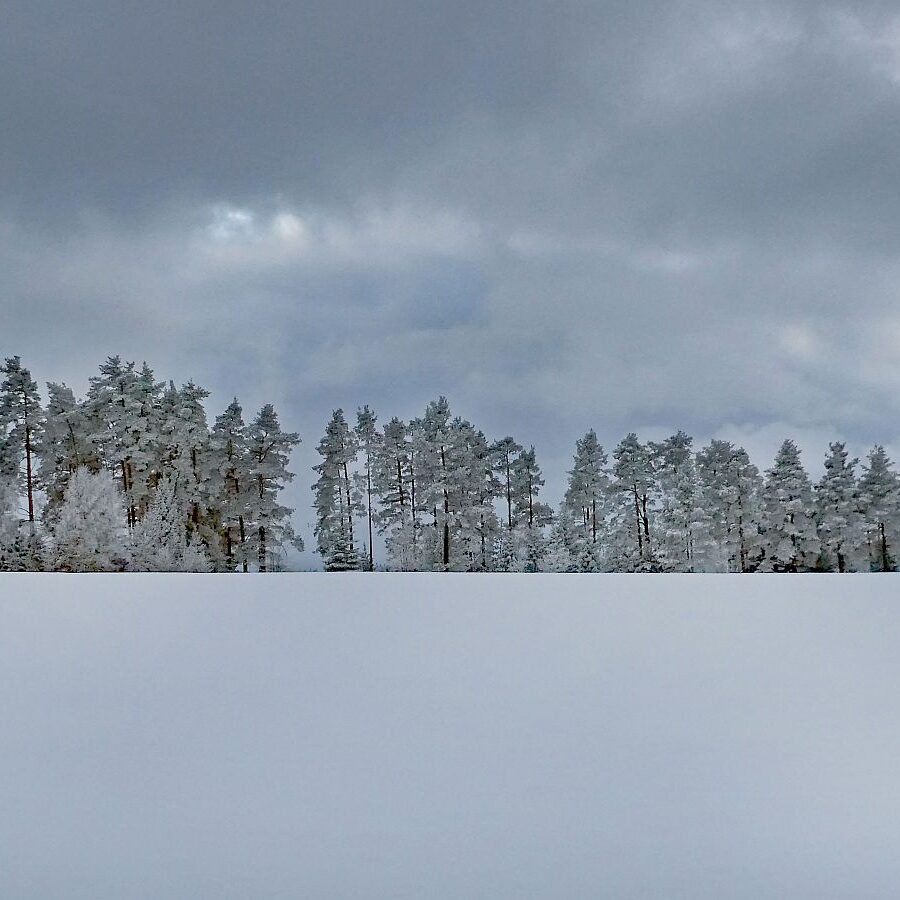 Winter bei bedecktem Wetter 13