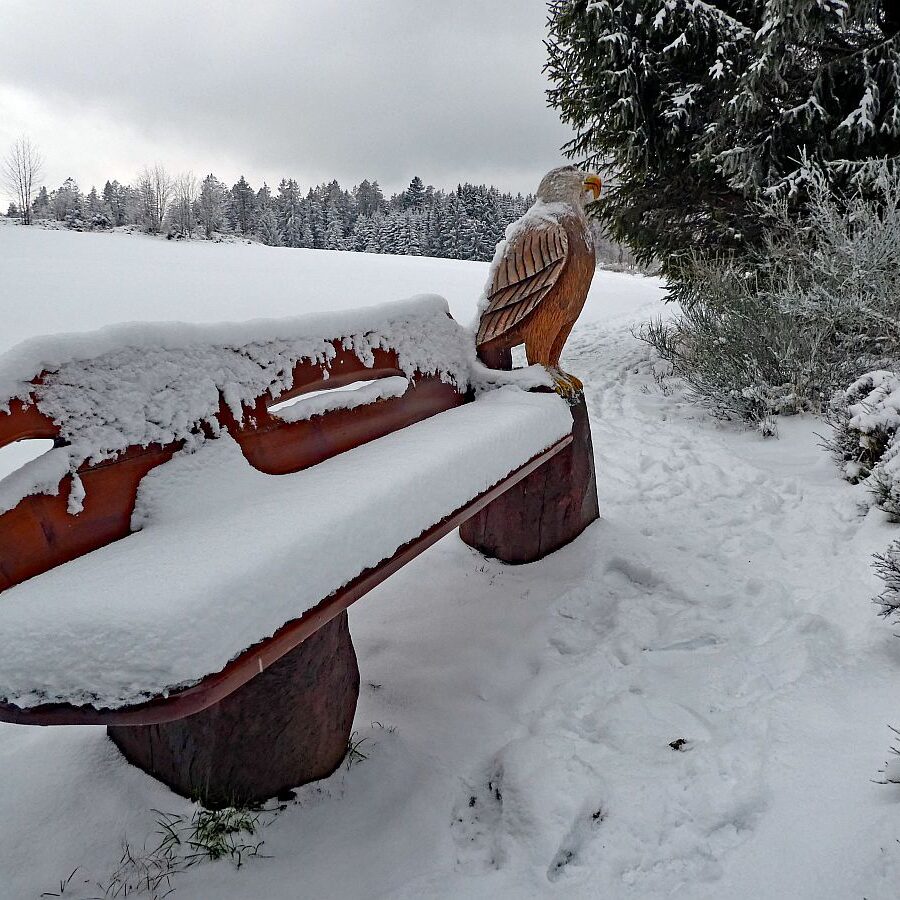 Winter bei bedecktem Wetter 18