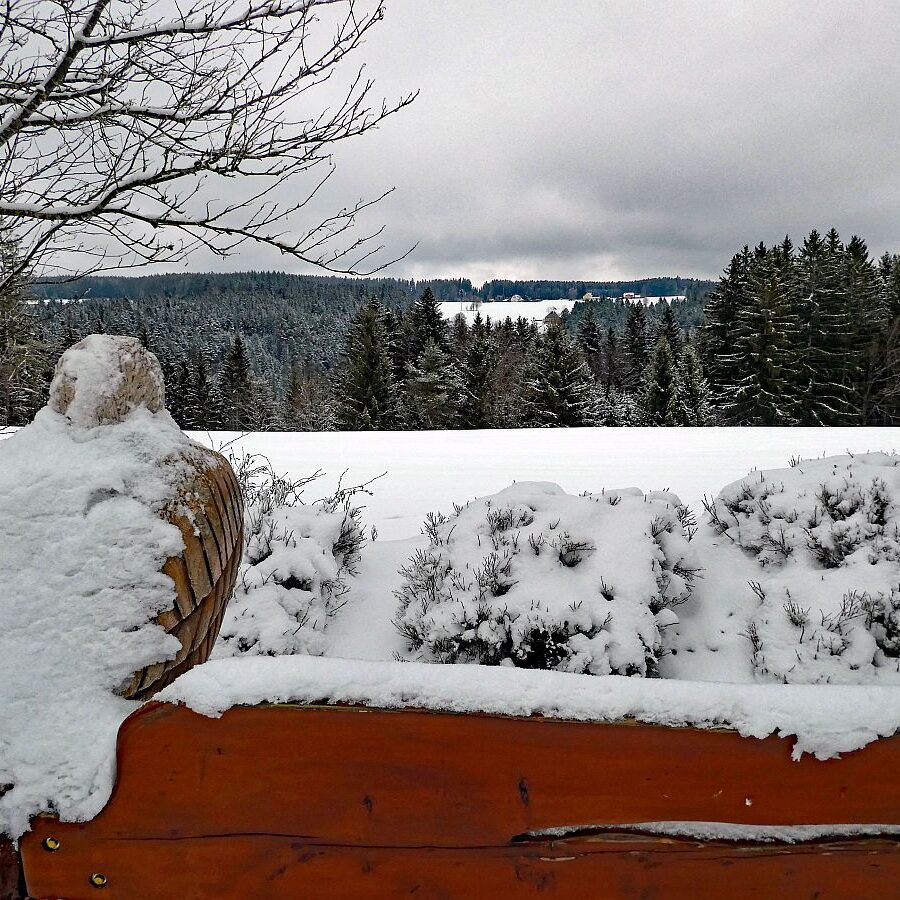 Winter bei bedecktem Wetter 19