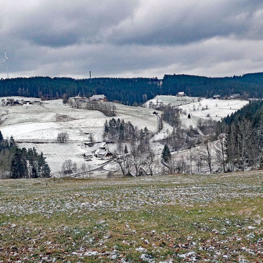 Etwas Schnee am Mittelberg in Tennenbronn 01