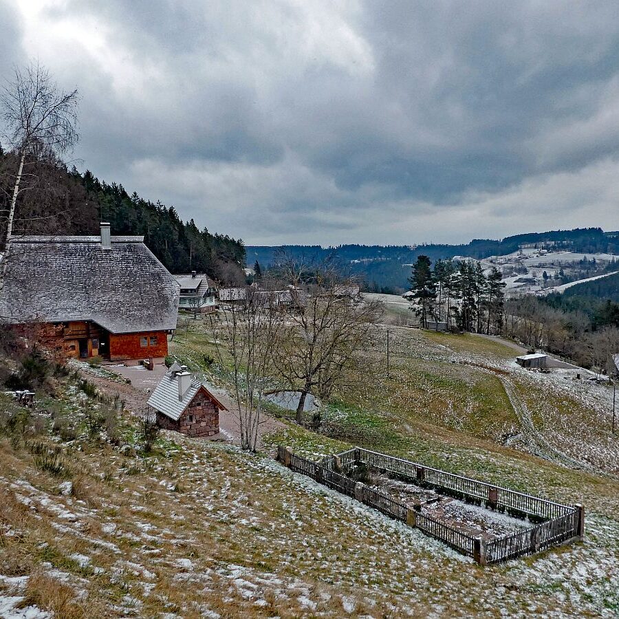 Etwas Schnee am Mittelberg in Tennenbronn 03