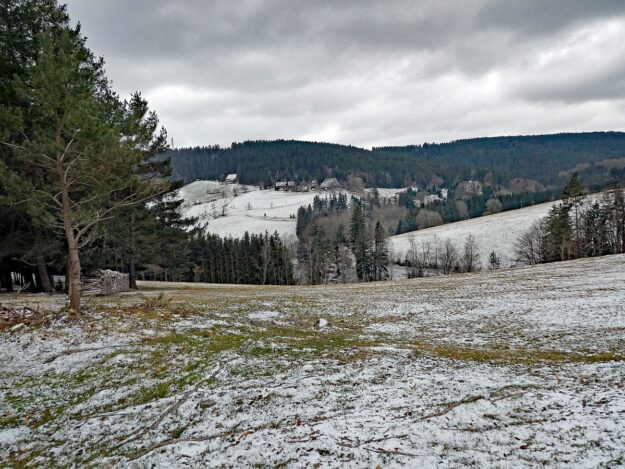 Etwas Schnee am Mittelberg in Tennenbronn 04