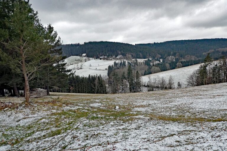 Etwas Schnee am Mittelberg in Tennenbronn 04