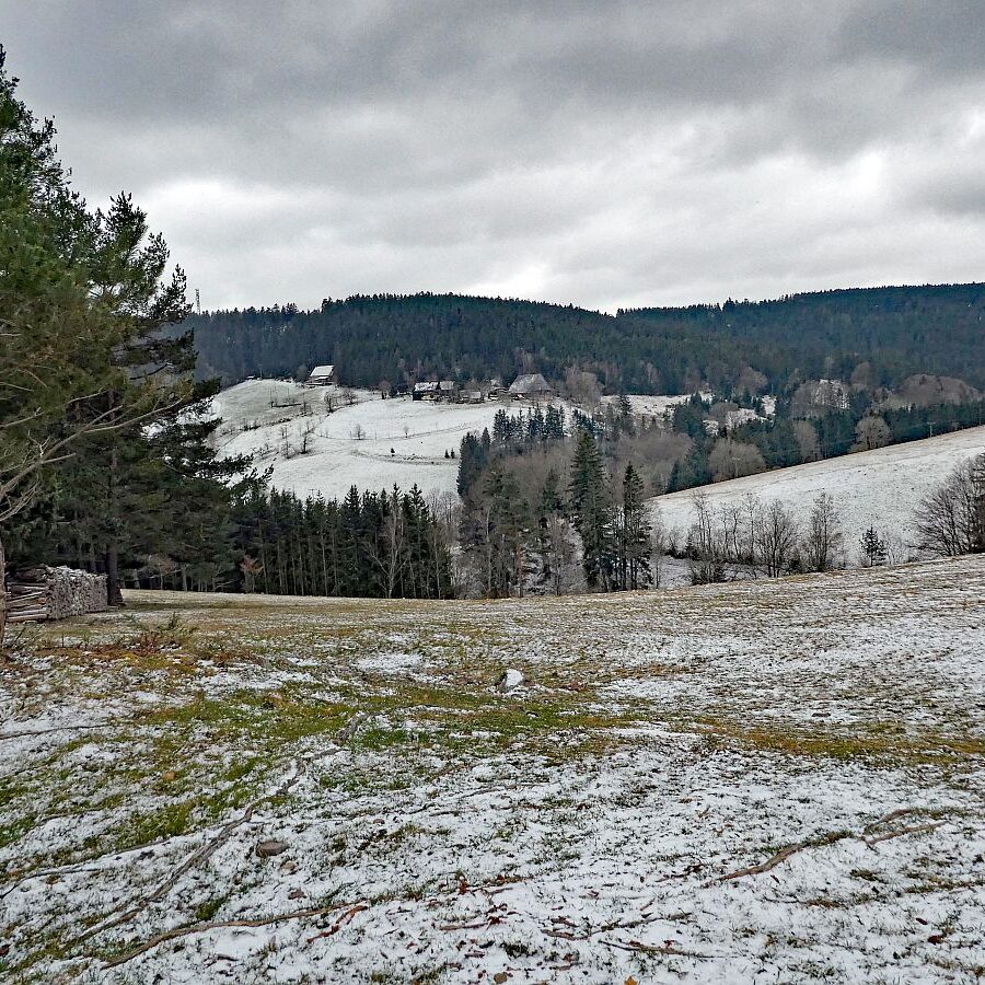 Etwas Schnee am Mittelberg in Tennenbronn 04