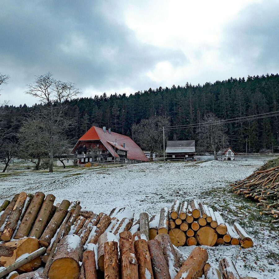 Etwas Schnee am Mittelberg in Tennenbronn 05