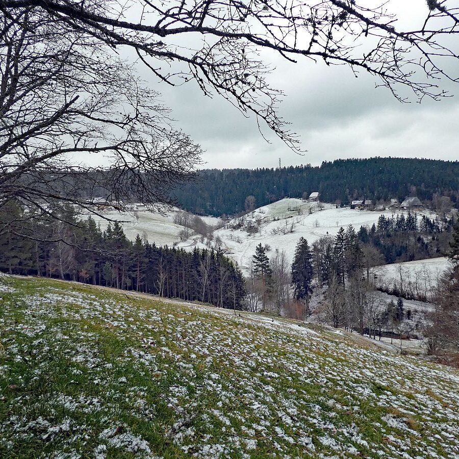 Etwas Schnee am Mittelberg in Tennenbronn 06