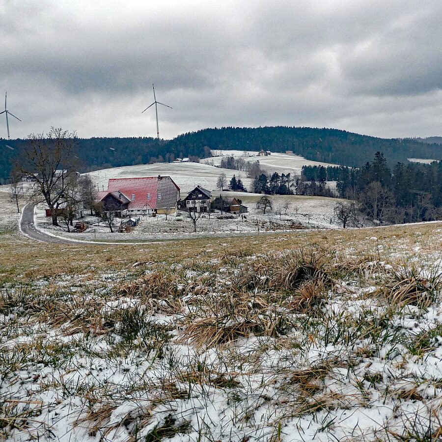 Etwas Schnee am Mittelberg in Tennenbronn 07