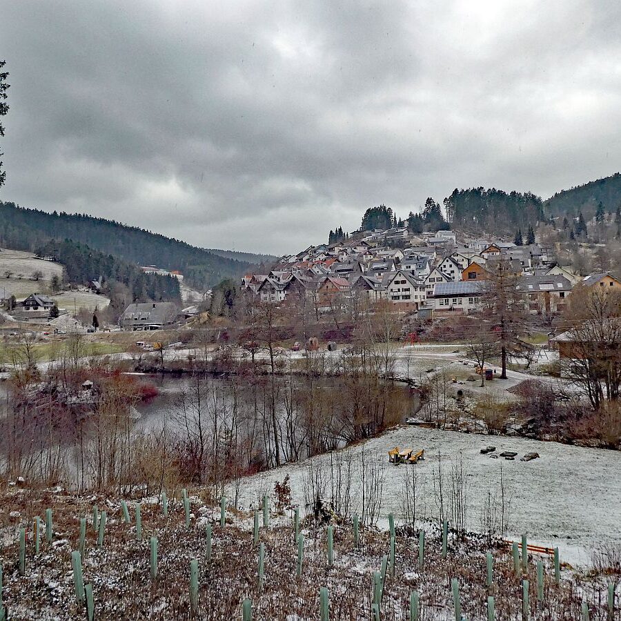 Etwas Schnee am Mittelberg in Tennenbronn 08