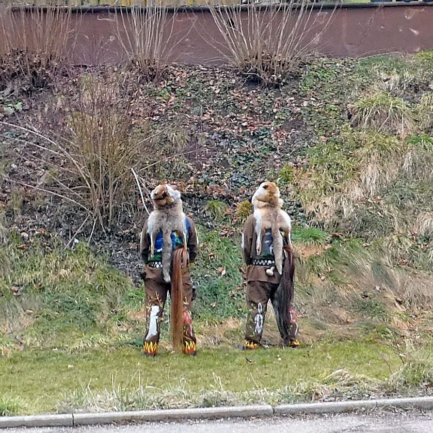 Fasnet Umzug 2023 Tennenbronn Drumherum 08