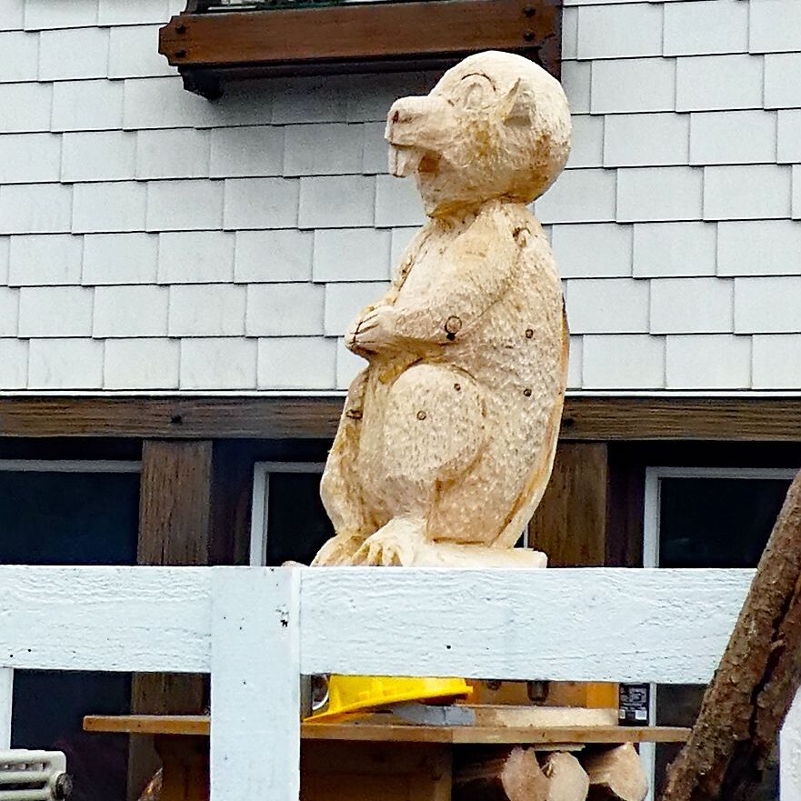 Fasnet Umzug 2023 Tennenbronn Eichbacher Biber 06