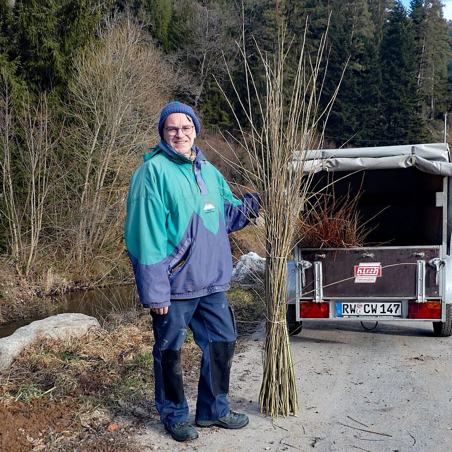 Heimathaus Tennenbronn Weiden schneiden 2
