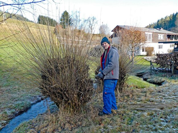 Heimathaus Tennenbronn Weiden schneiden 3