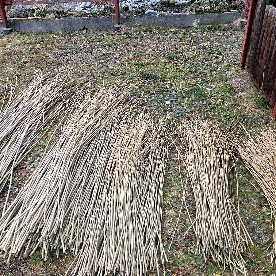 Weiden sortieren im Heimathaus Tennenbronn 04