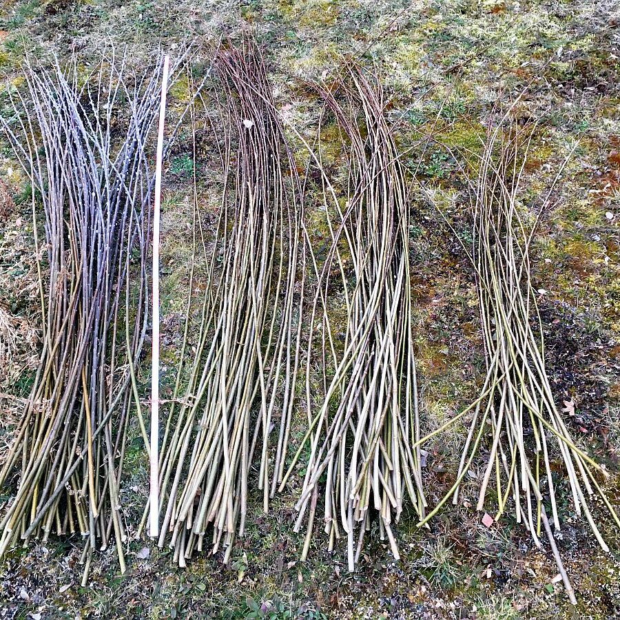 Weiden sortieren im Heimathaus Tennenbronn 07