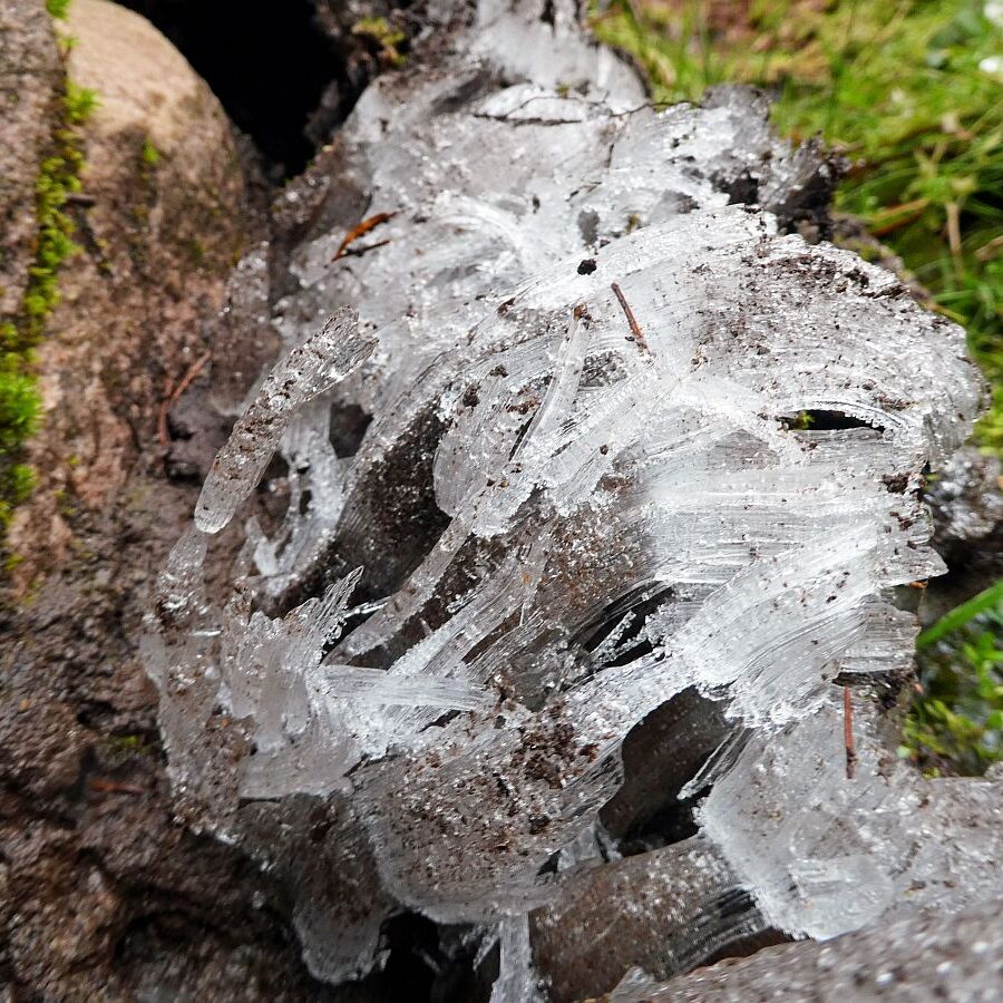 Kammeis in Tennebronn 1