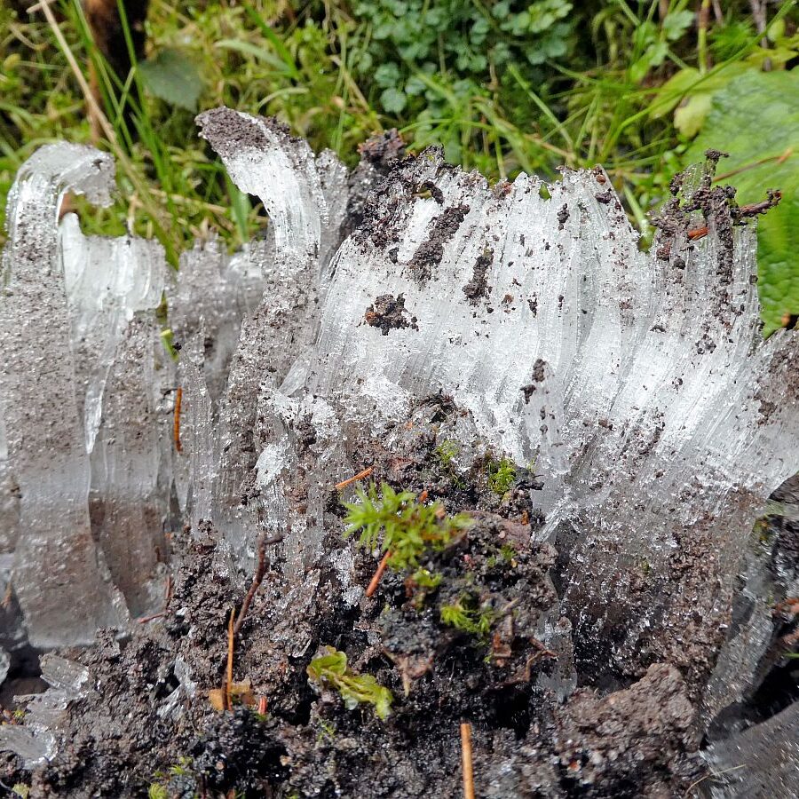 Kammeis in Tennebronn 2