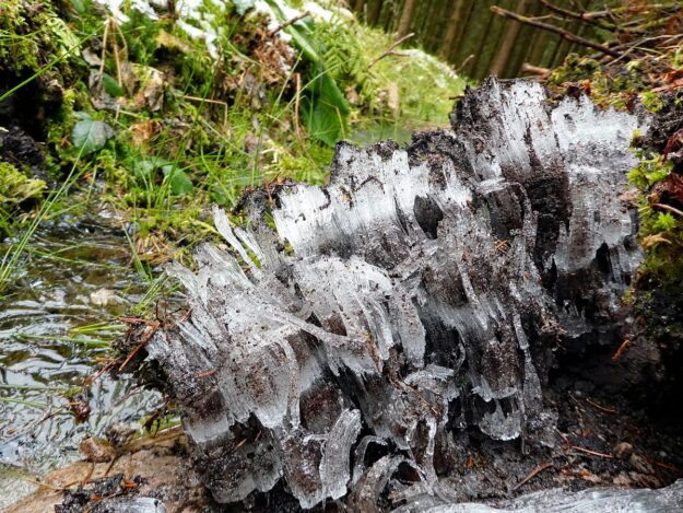 Kammeis in Tennebronn 3