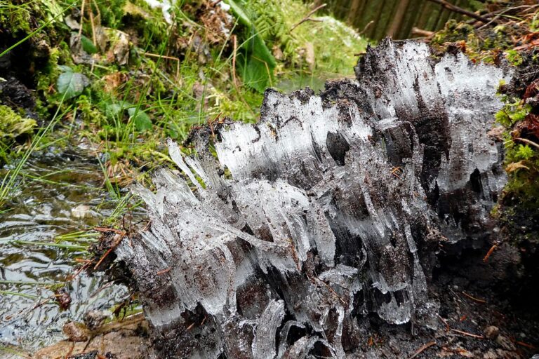 Kammeis in Tennebronn 3