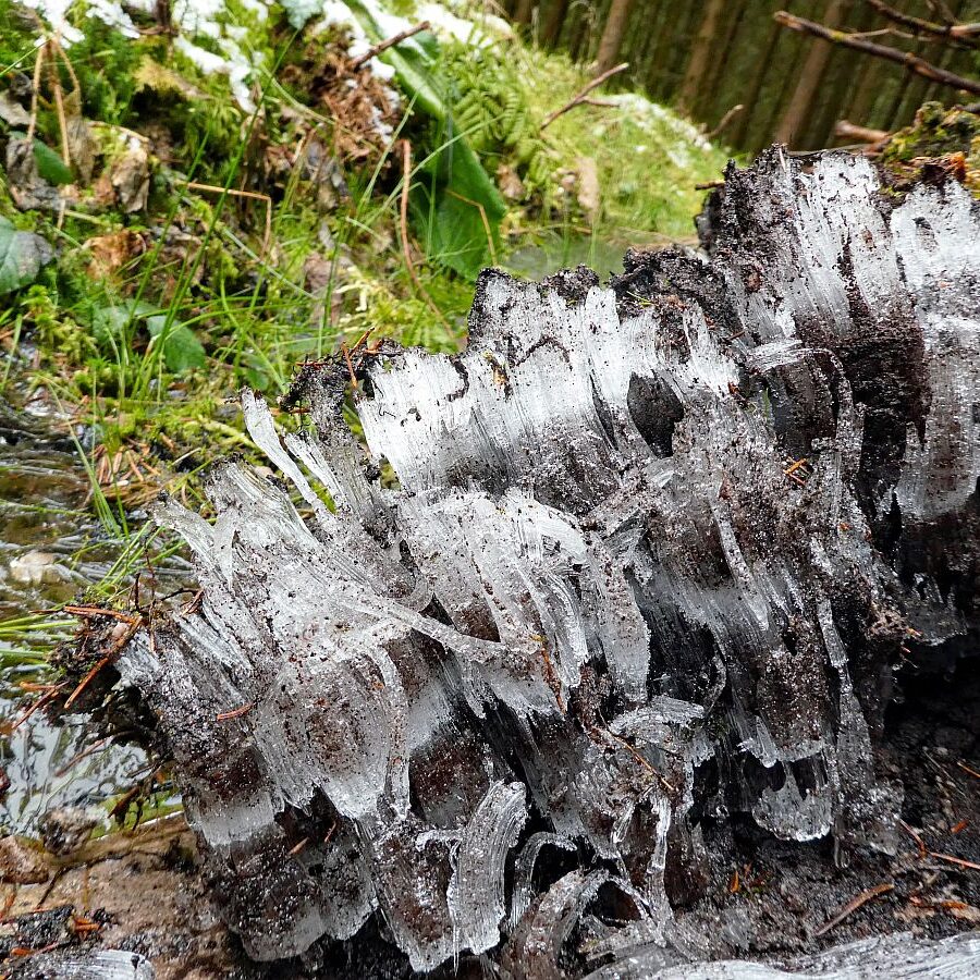 Kammeis in Tennebronn 3