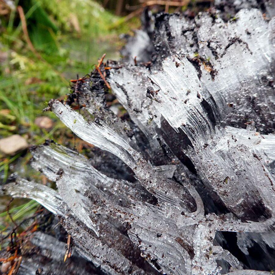 Kammeis in Tennebronn 4