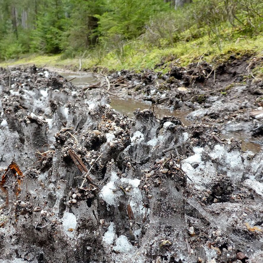 Kammeis in Tennebronn 5