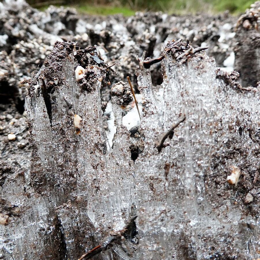 Kammeis in Tennebronn 6