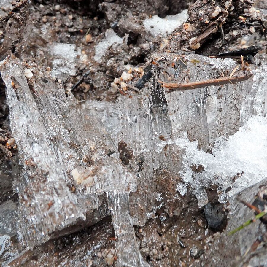 Kammeis in Tennebronn 7