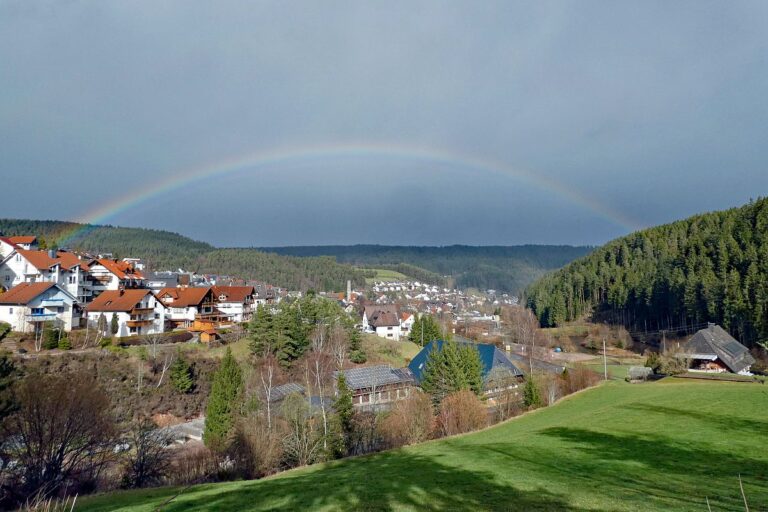 Tennenbronn Kaesberg Weierhalde See 01