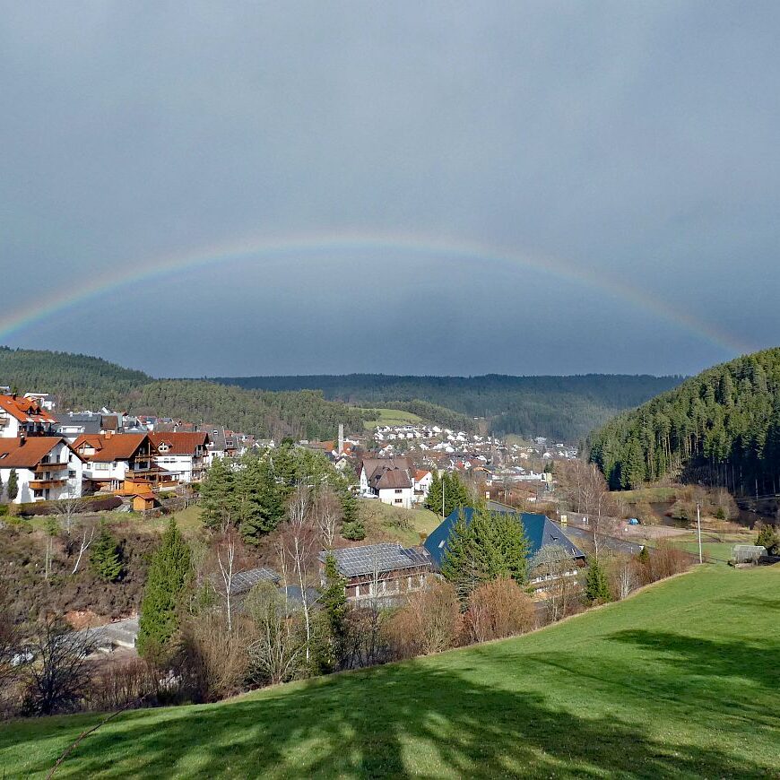 Tennenbronn Kaesberg Weierhalde See 01