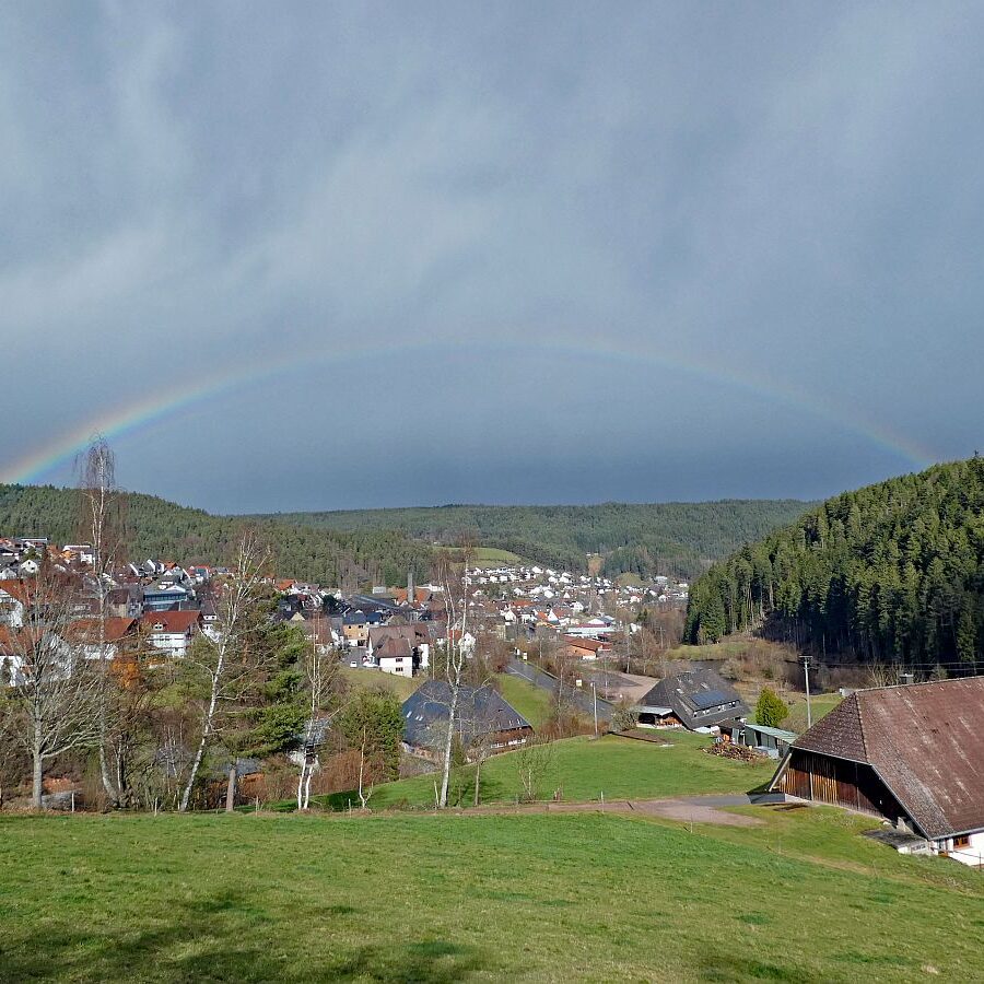 Tennenbronn Kaesberg Weierhalde See 02