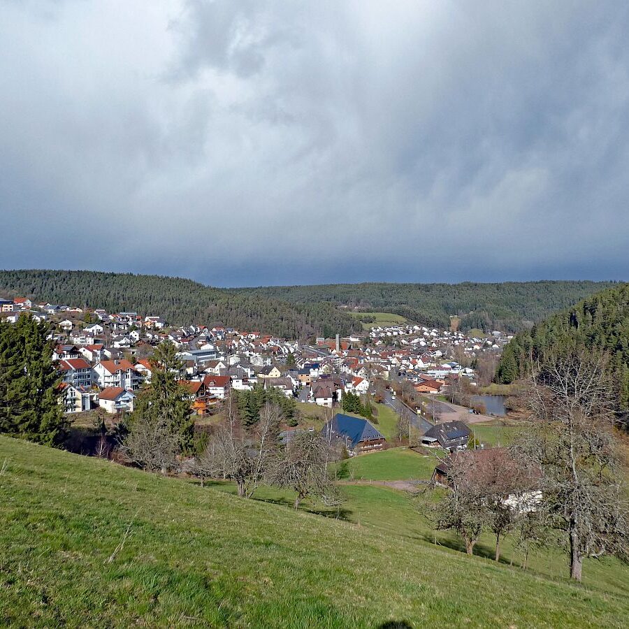 Tennenbronn Kaesberg Weierhalde See 03