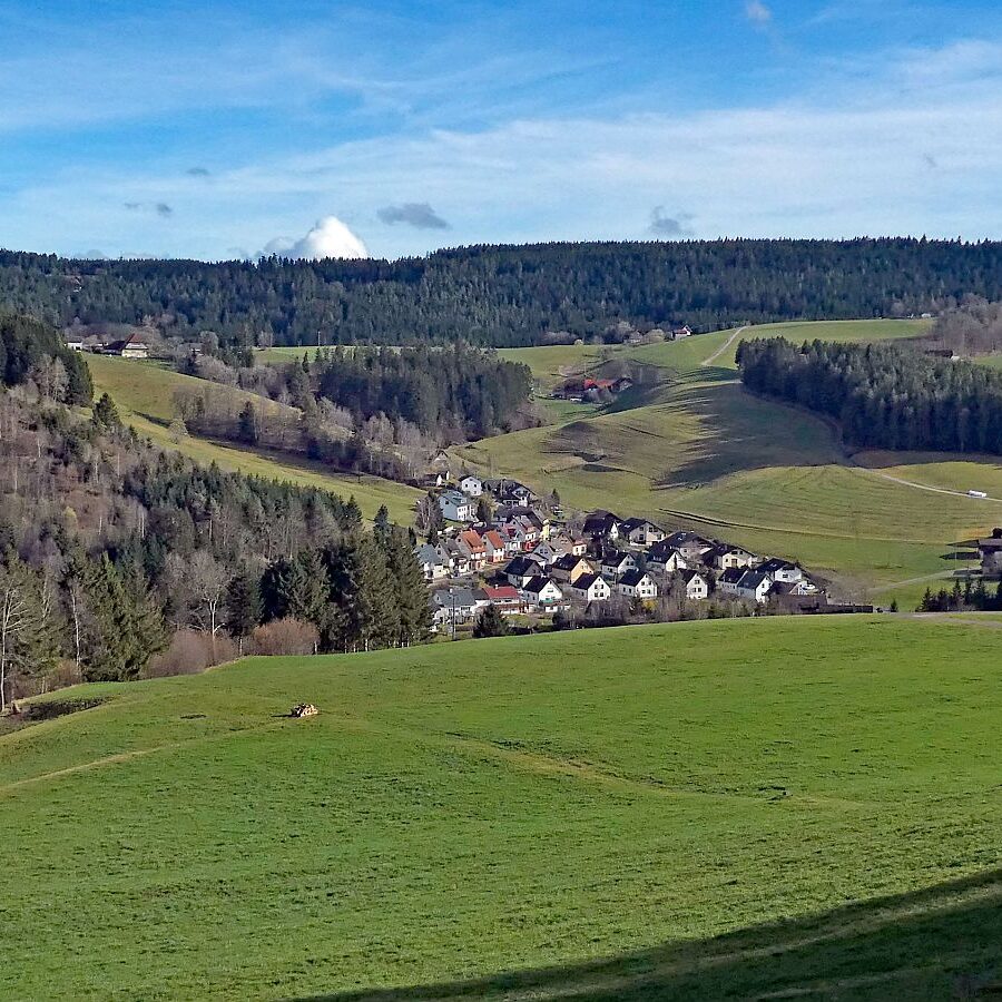 Tennenbronn Kaesberg Weierhalde See 04