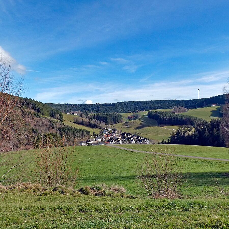 Tennenbronn Kaesberg Weierhalde See 05