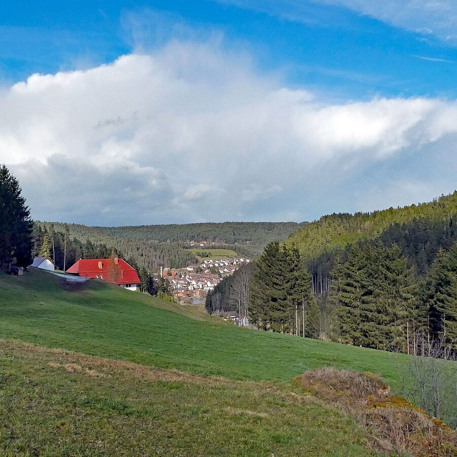 Tennenbronn Kaesberg Weierhalde See 06