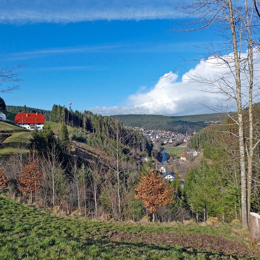 Tennenbronn Kaesberg Weierhalde See 07