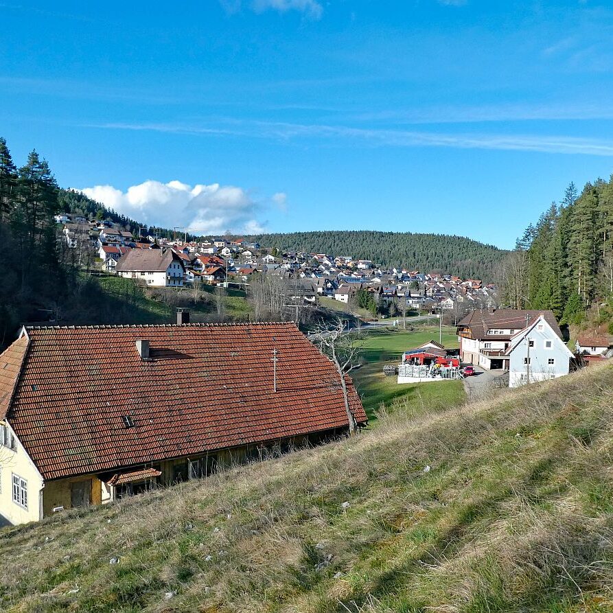 Tennenbronn Kaesberg Weierhalde See 09